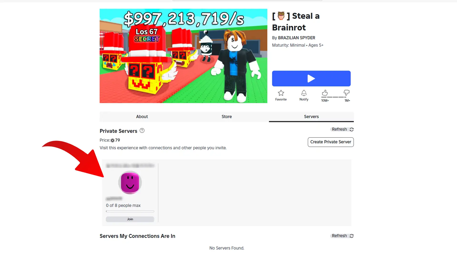 connection private server sab