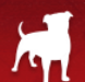 ZYNGAPOKER