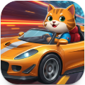 Cat Car Race
