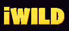 iWild Online Casino