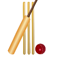 Cricket Games