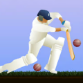 Little Master Cricket
