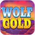Wolf Gold