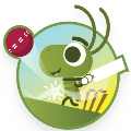 Doodle Cricket