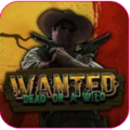 Wanted Dead or a Wild