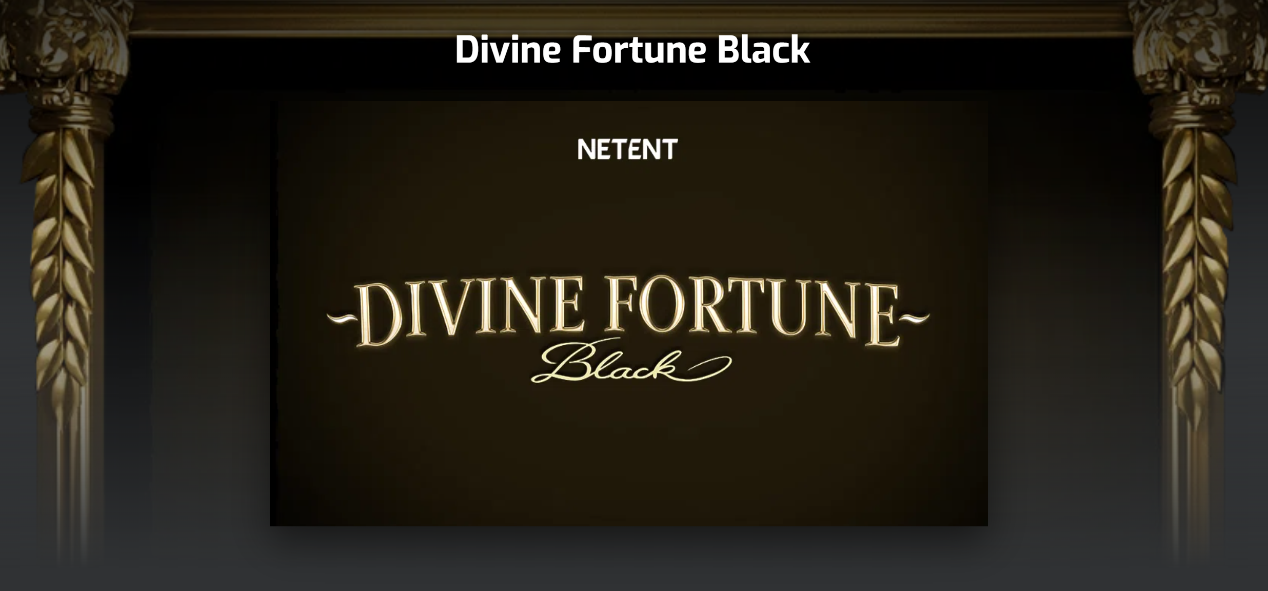 Divine Fortune Black
