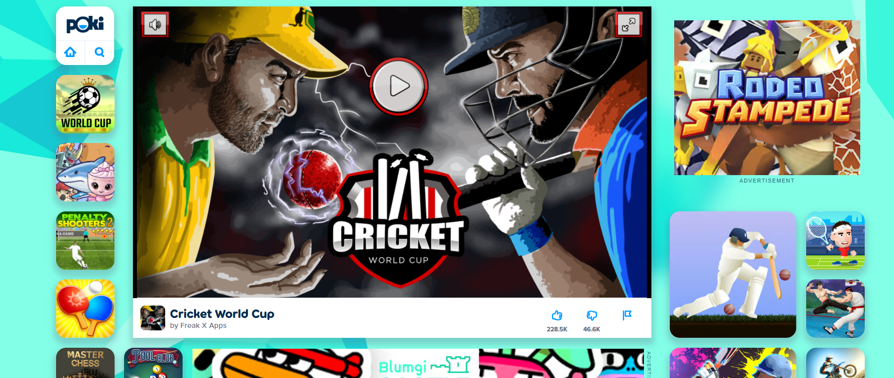 Cricket World Cup