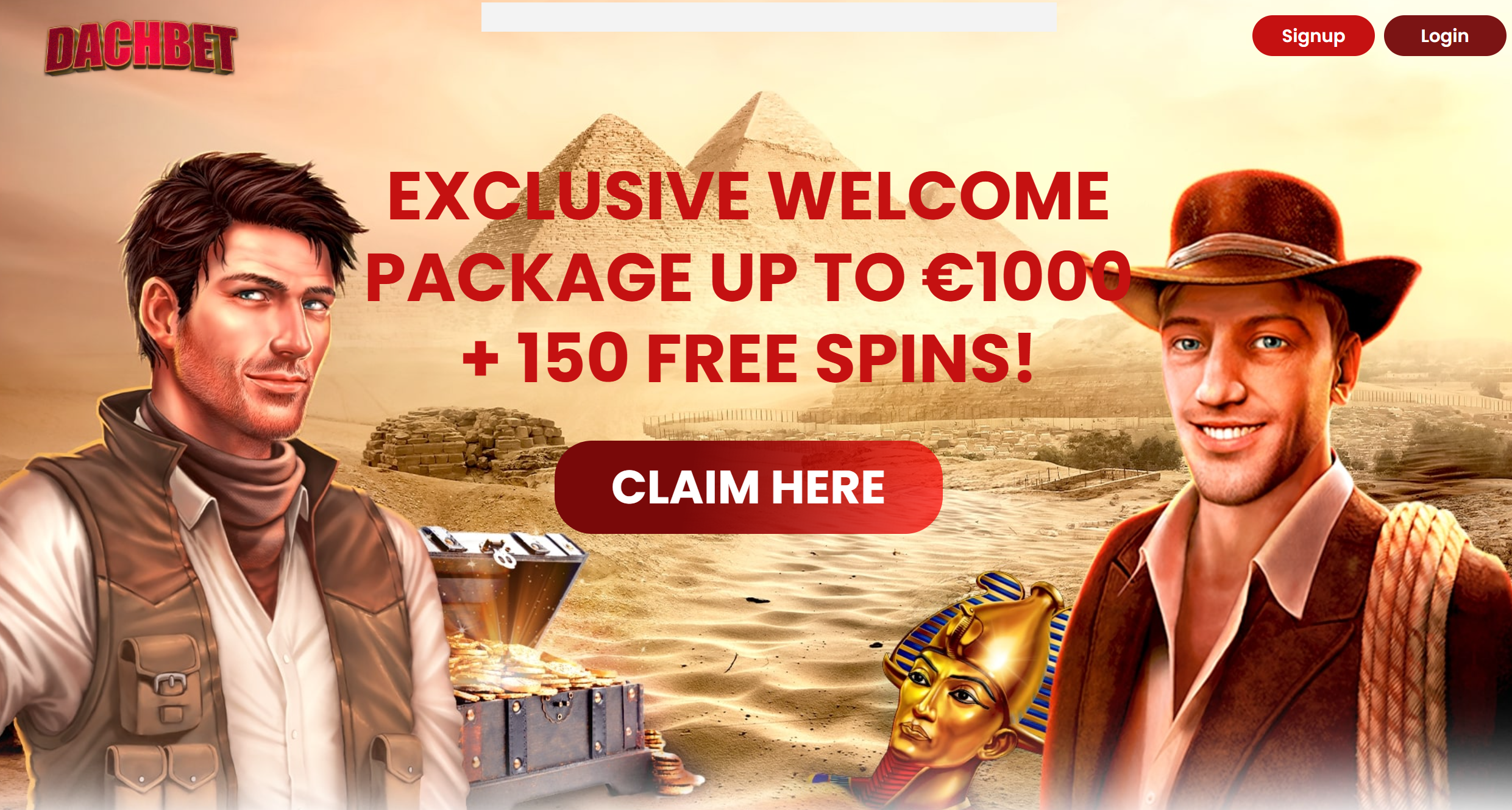 Dachbet Casino